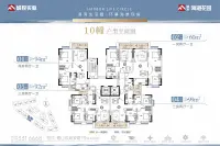 10幢户型平面图