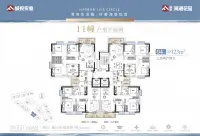 11幢户型平面图