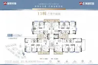 15幢户型平面图