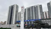 项目标志