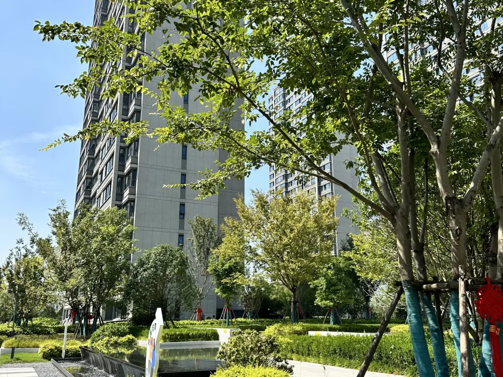 小区相关图