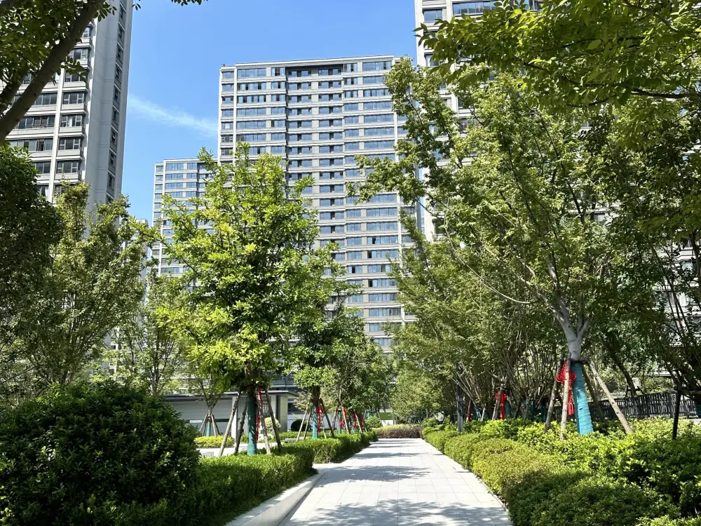 小区相关图