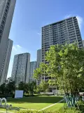山语春风实景图