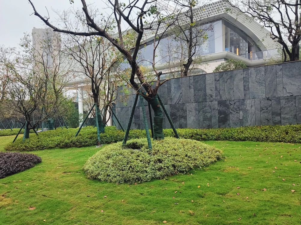 小区相关图
