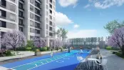 图片40