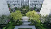 图片23（1）