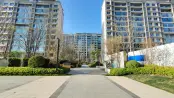 现房实景
