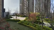 现房实景