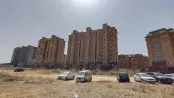 实景图