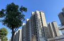 保利虹桥和颂实景图