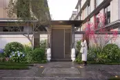 效果图