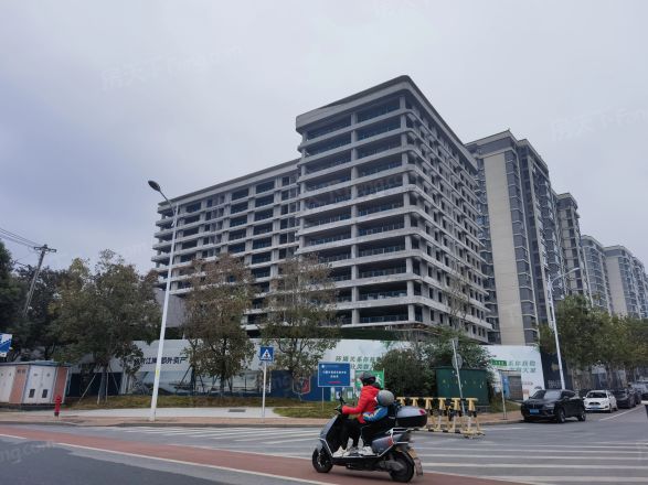 江悦和鸣实景图