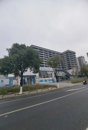 江悦和鸣实景图
