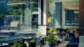 示范区7