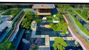 示范区10