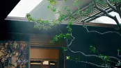 园林1