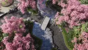 效果图