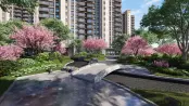 效果图