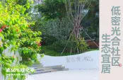 项目实景图