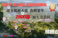 林栖谷