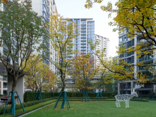 杨家坪 半山悦景南区三房220万