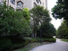 圣和静安公馆 1室2厅 南