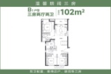 万科华生公园大道
