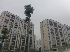 业主诚心出售,看房方便,公园一环朝南