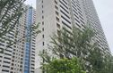 华实长沙领峯实景图