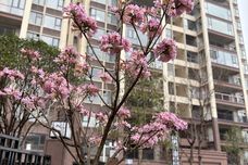 裕达桂中府[兴宾区]