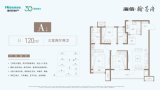 海信翰墨府