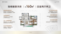 洋房160㎡户型