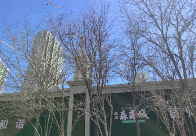 高远森霖城实景图