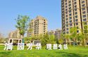 哈罗城实景图