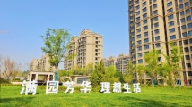 哈罗城实景图