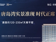 海信·君悦