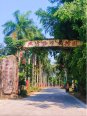 兴隆热带植物园