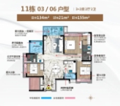 11栋03、06户型
