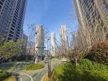 金茂中欧国际城金茂悦·北七区（B8地块）实景图
