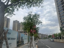 新城投·御河园小区环境