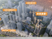 央锦源著