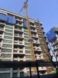 白桦林隐在建工地实景图