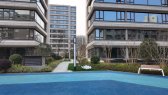紫薇满堂里