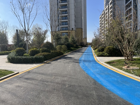 金日·君基新天地实景图