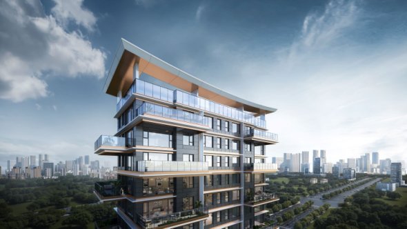 白桦林晓效果图