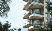 邦泰·悦九章渲染立面