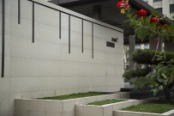 项目实景图