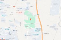 中交天府九章电子地图