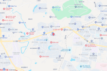 铂斯国际