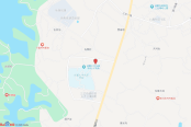 电子地图